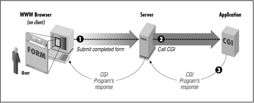 CGI (Common Getway Interface) CGI zostało opracowane w 1993 roku przez NCSA jako technologia pozwalająca przeglądarce internetowej odbierać dane wygenerowane przez program uruchomiony przez serwer