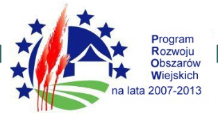 ROZLICZENIA KOSZTÓW w ramach działania Szkolenia zawodowe dla osób zatrudnionych w