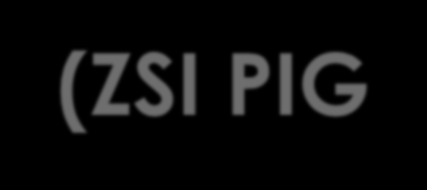 ZSI PIG-PIB Zintegrowany system