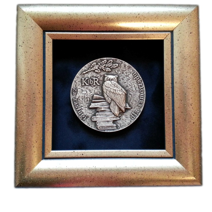 Grudzień 2012 Działania w 2012roku Kapituły Odznaczeń KIBR Stanisław Mierzejewski Członek Regionalnej Rady KIBR w Łodzi Członek Kapituły Odznaczeń KIBR w Warszawie również wniosków Regionalnych