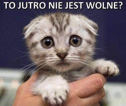 Niezbędnik ucznia Niedawno skończyły się wakacje, a z nimi słodkie lenistwo, późne wstawanie, ciągłe spotkania z przyjaciółmi.