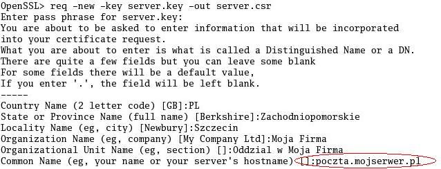 Plik CSR wraz z kluczem prywatnym server.key należy zabezpieczyć na dyskietce lub innym nośniku. Po pomyślnym wygenerowaniu klucza prywatnego wydajemy polecenie: openssl req -new -key server.