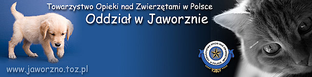 II. Towarzystwo Opieki nad Zwierzętami- koło w Jaworznie ul. Grunwaldzka 35 Dane kontaktowe: Towarzystwo Opieki nad Zwierzętami w Polsce Oddział w Jaworznie ul.