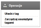 17.Tagi 17.2 Edycja tagów Aby edytować tag, należy przejść do listy tagów (menu Tagi). Następnie należy kliknąć w wiersz, zawierający tag, którego dane będą edytowane.