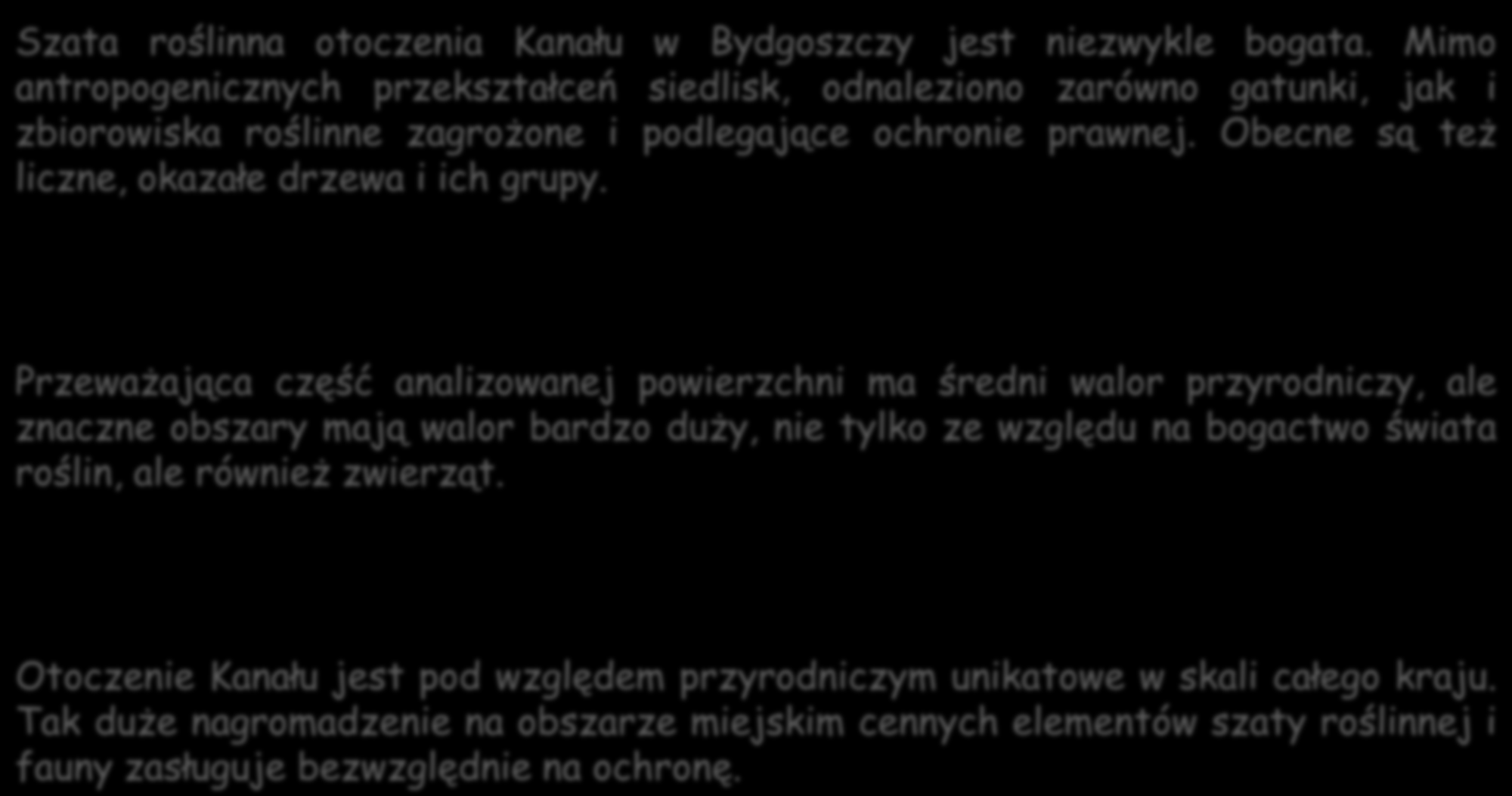 Wnioski Szata roślinna otoczenia Kanału w Bydgoszczy jest niezwykle bogata.