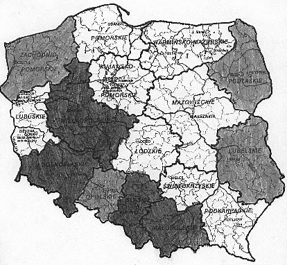 RoOsoby niepełnosprawne wobec miejskich barier architektonicznych wybrane aspekty 201 Mapa 1.