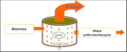 Biogaz jako paliwo odnawialne i jego substraty (3) Lignina, główny składnik drewna, nie jest