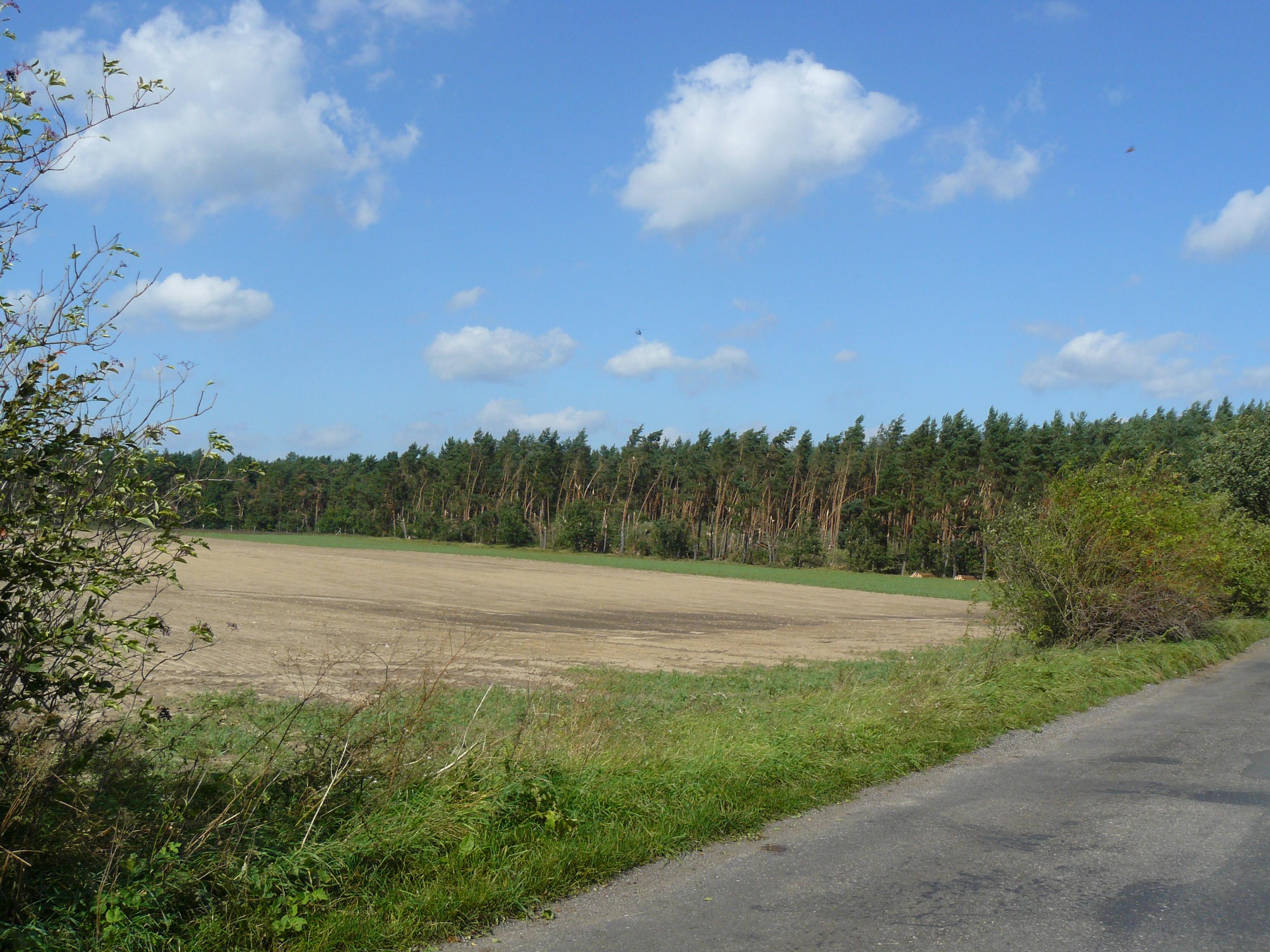 ANOMALIE POGODOWE (burze, nawałnice, ) Obowiązujący system meldunkowy raporty, straty, działania Spotkanie ze starostami