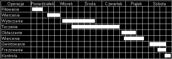 Przykładowy wykres Gantt a Wiersze