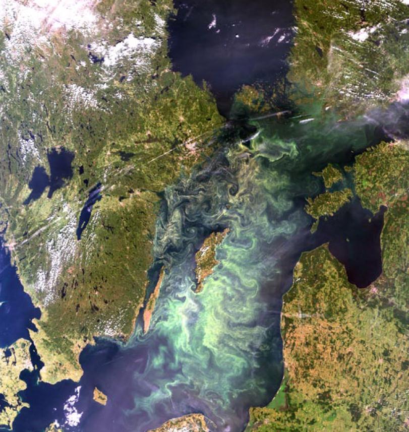 Olbrzymie obszary Bałtyku pokryte
