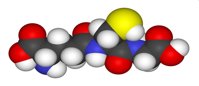 Synteza glutationu Dalle-Donne et