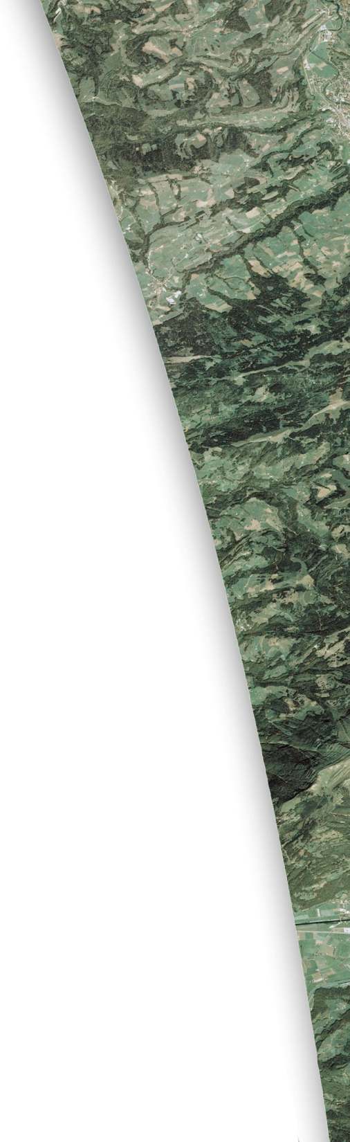 GSE FM GMES Service Element Forest