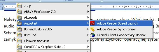 Należy usunąć wszystkie zbędne elementy z folderu Autostart w menu Programy.