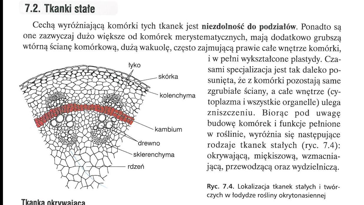 GIMNAZJUM LICEUM profil rozszerzony