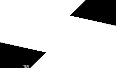 EasyInput Integracja SAP z