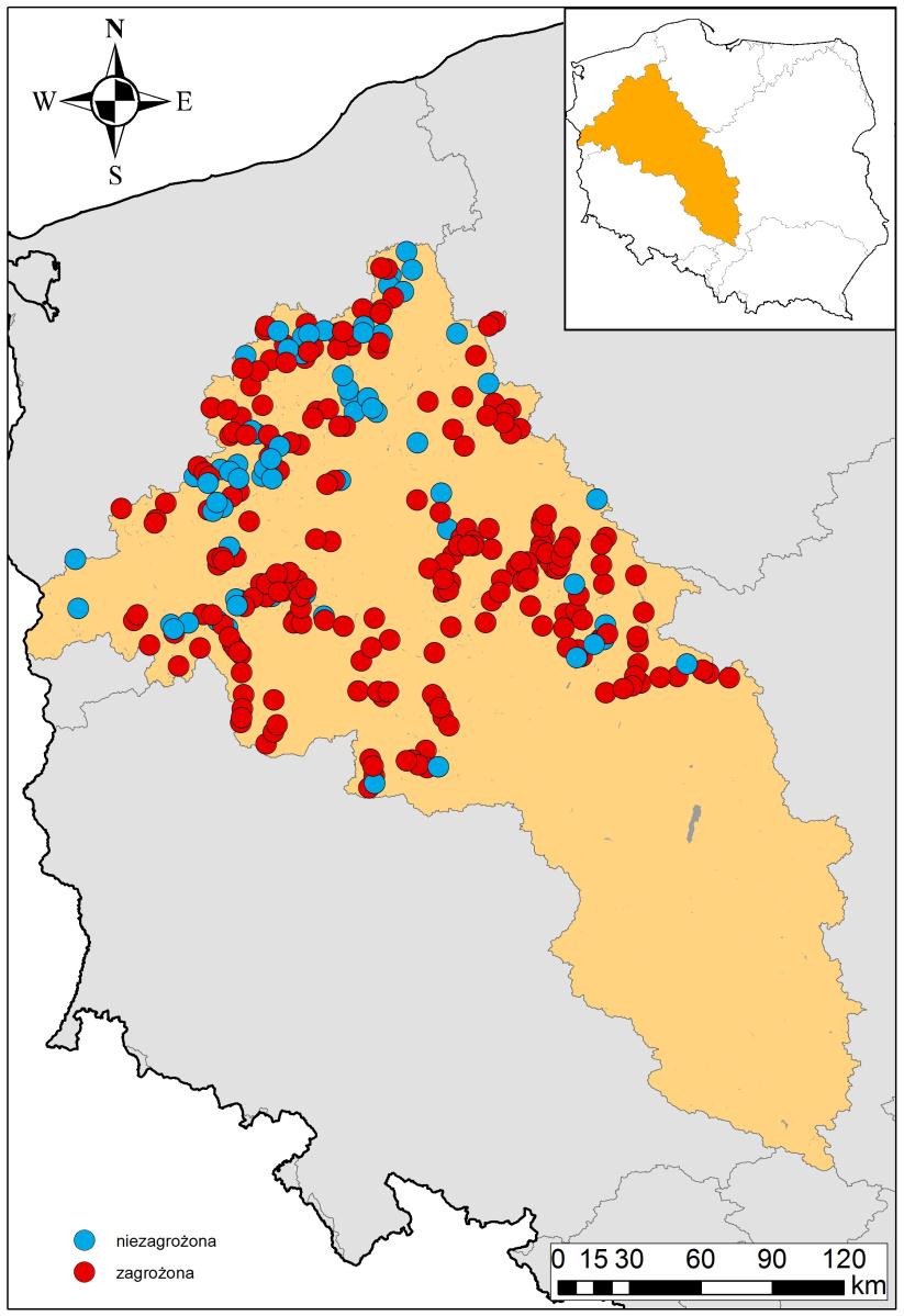 Ocena zagrożenia JCWP jeziornych Ocena ryzyka niespełnienia celów: na podstawie danych monitoringowych z lat 2007-2013 - 175 JCWP jezior: 42 niezagrożone; 133