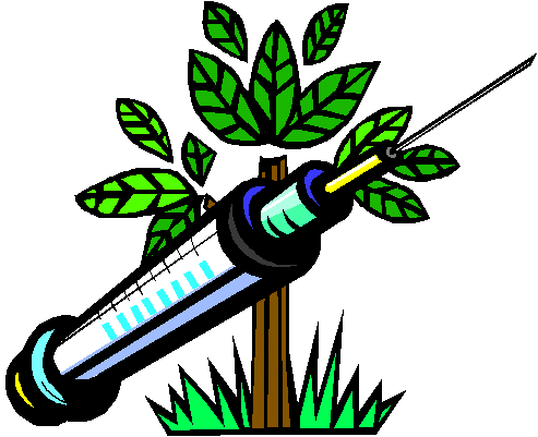 Zakres, cel i przykłady modyfikacji genetycznej roślin uprawnych Synteza specyficznych, zazwyczaj gatunkowo obcych, substancji chemicznych produkcja farmaceutyków i szczepionek roślinnych zmiany