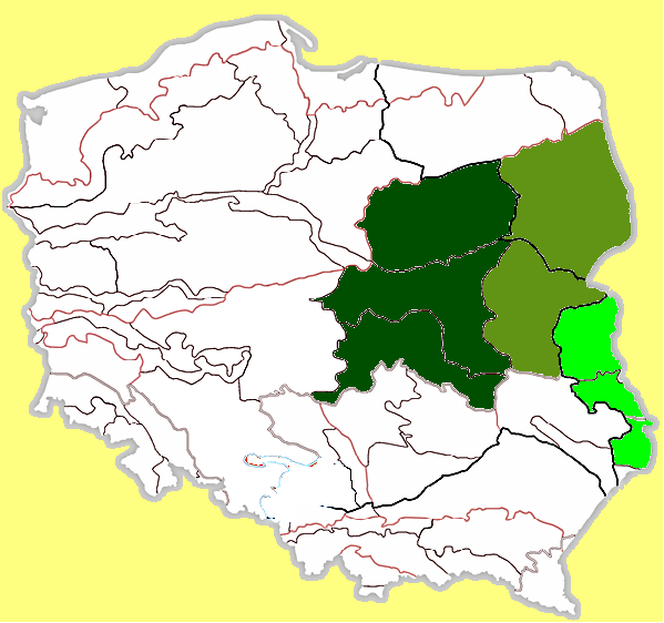 NIZINA WIELKOPOLSKA NIZINA ŚLĄSKA NIZINA MAZOWIECKA NIZINA PODLASKA POLESIE LUBELSKIE Rzeźba staroglacjalna, pradoliny Klimat od morskiego (zach) po kontynentalny