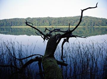 WIELKOPOLSKI PARK