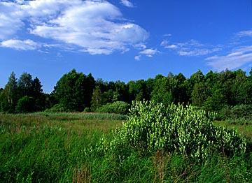 POLESKI PARK NARODOWY Lokalizacja: Urszulin