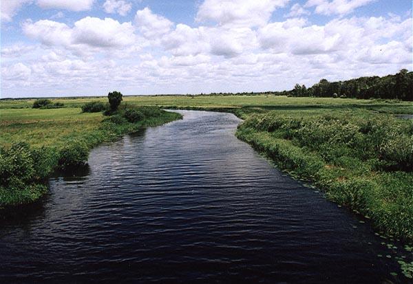 BIEBRZAŃSKI PARK NARODOWY Lokalizacja: Osowiec