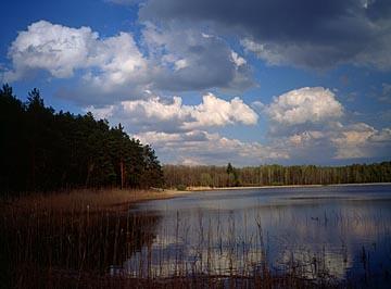 ROZTOCZAŃSKI PARK NARODOWY Lokalizacja: