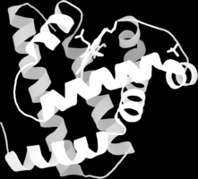 Struktura II- i III-rzędowa białek Pętle między