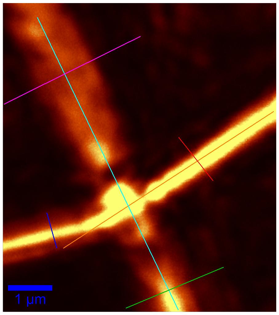 CG 44: PLLA e) d) a)