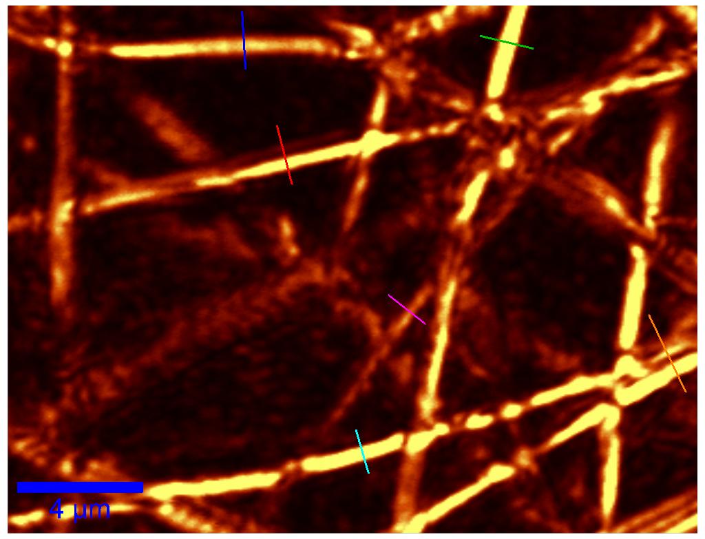 CG 56: PLLA + 5% POSS b)