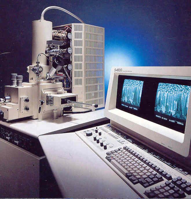 Mikroskop elektronowy skaningowy (SEM) ma zastosowanie w biologii,