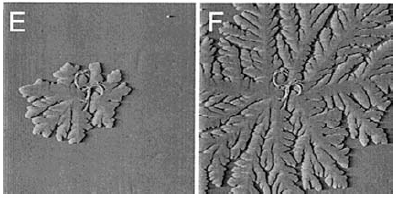 Ferromagnetyzm grafitu wywołany defektem D sieci KPM Kelvin Probe Microscopy Lord Kelvin, Philosophical Magazine, 46 (1898). M. onnenmacher, M. P. O'oyle,. K. Wickramasinghe, ppl. Phys. Lett.