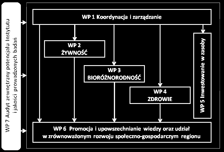 STRUKTURA PROJEKTU