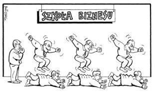 większość MMŚP chce się po prostu utrzymać na rynku i zapewnić pracę i dochód sobie i rodzinie, mimo że także większość działa na rosnącym lub ustabilizowanym rynku, MMŚP są waleczne chcą