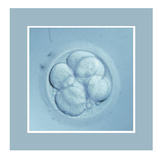 W przypadku technik wspomaganego rozrodu, określenie w szkle doskonale opisuje sposób w jaki postępuje się z ludzkimi komórkami rozrodczymi i zarodkami.
