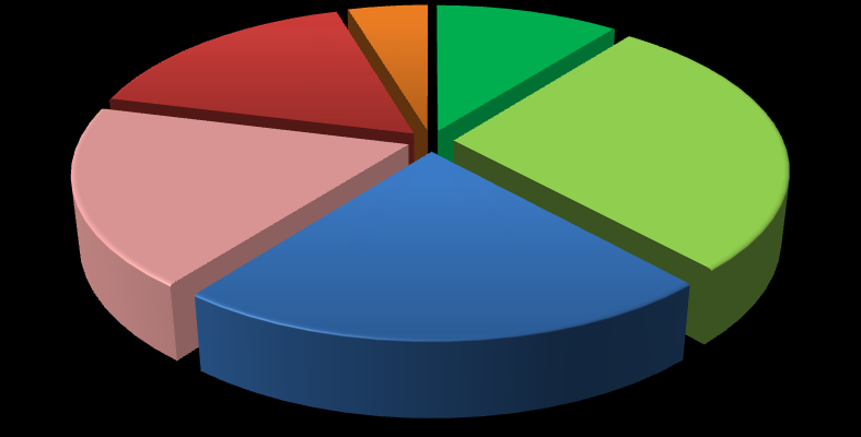 Rodzaj środka tranportu wykorzystywanego w podróżach miejskich (wśród Torunian) 17,7 13,36% 11,38% 2,3 20,9 34,26% Zawsze komunikacją miejską Przeważnie komunikacją miejską W równym stopniu