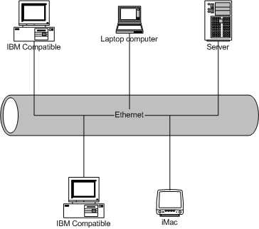 Standardy LAN Ethernet Token Ring SONET (Synchronous Optical