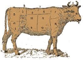 Białko w mięsie wołowym Wołowinę cechującą się największą kruchością mięsa uzyskuje się ze zwierząt poniżej 19 miesiąca życia, granicą otrzymania