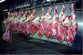 Tłuszcz w mięsie wołowym Mięso wołowe stanowi ważne źródło wielonienasyconych kwasów tłuszczowych (PUFA) w diecie człowieka. Do tych kwasów obecnych w wołowini