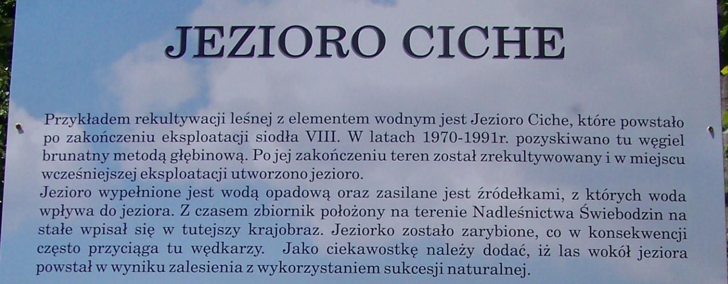 Siodło VIII rekultywacja leśna ze zbiornikiem wodnym - 20 lat po zakończeniu eksploatacji wydobycie podziemne na zawał