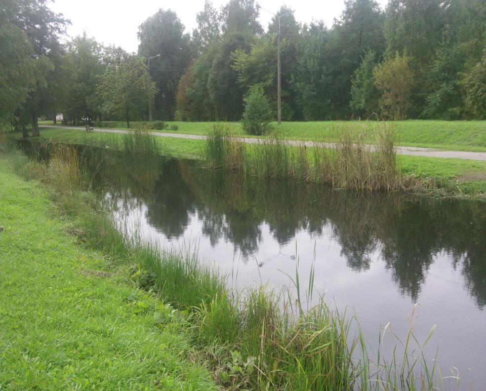 Rekultywacja metodą bioremediacyjną za pomocą produktów Eco Tabs TM stawu miejskiego przy ulicy