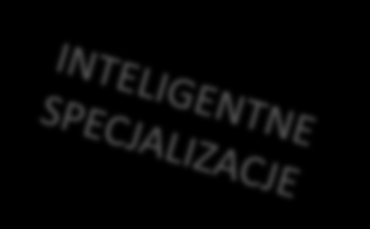 Program Inteligentny Rozwój - Badania Konsorcjum Lider
