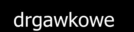 Ze względu na sposób działania BST podzielono na 6 grup. 1. Paraliżująco-drgawkowe (związki fosforoorganiczne). Przedstawiciele to: V-gazy, Sarin, Soman, Tabun.
