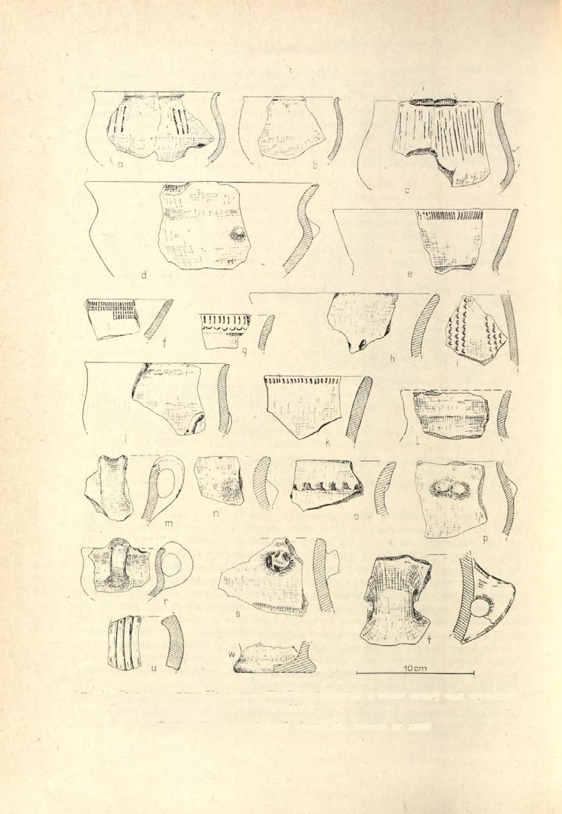 92 BARBARA. BURCHARD Ryc. 14. Bronocice, pow. Kazimierza Wielka.