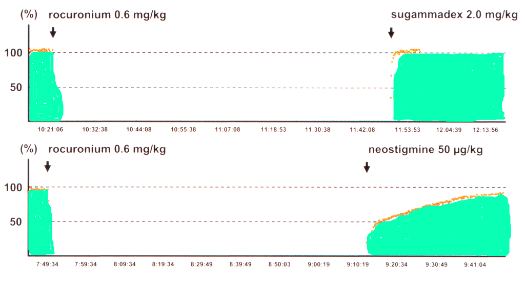 Odwracanie płytkiego bloku po rokuronium Rokuronium 0,6 mg/kg
