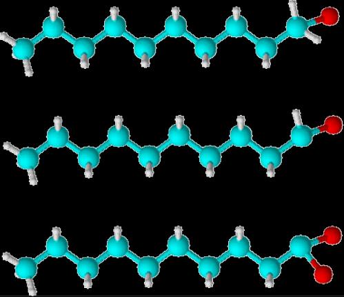 prowadzi do utworzenia metabolitów pośrednich, które są łatwo pobierane przez