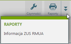 Formularz wypłaty Pulpit Pracownika / Dane finansowe / Informacja RMUA Listę tworzą wygenerowane dla pracownika, zatwierdzone raporty ZUS RMUA.