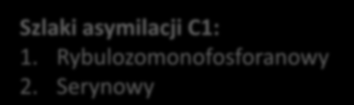 Metabolizm metylotrofów Szlaki asymilacji C1: 1. Rybulozomonofosforanowy 2.