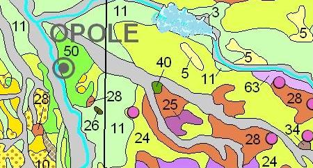 Gminy Chrząstowice na lata 211-232 W skład gminy wchodzi 9 sołectw: Chrząstowice, Daniec, Dąbrowice, Dębie, Dębska Kuźnia, Falmirowice, Lędziny, Niwki, Suchy Bór. Gmina Chrząstowice liczy ok.