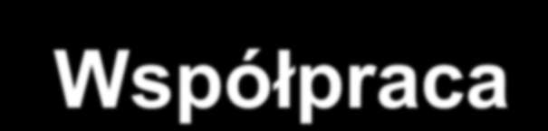 Inne agendy ONZ : UNDP, UNICEF Współpraca Programy wspólfinansowane przez WHO: UNAIDS, TRD; HRP;