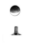 Symbol: Nit rymarski 4/4 a=10,0 mm b=3,0 mm c=8,0 mm e=10,0 mm f=3,2 mm g=5,4 mm, mosiądz Symbol: Nit rymarski